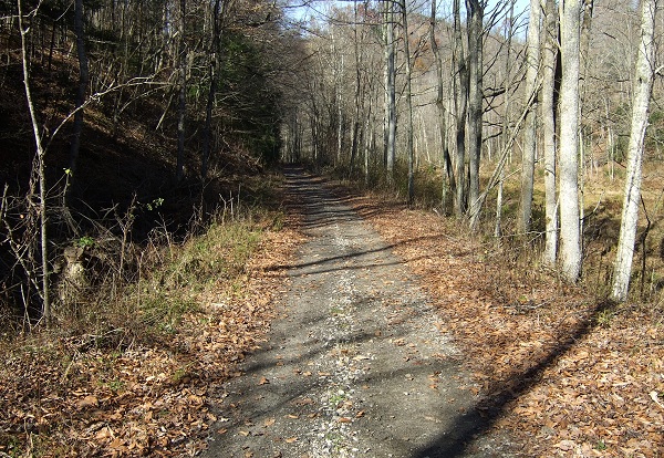 WV School Train