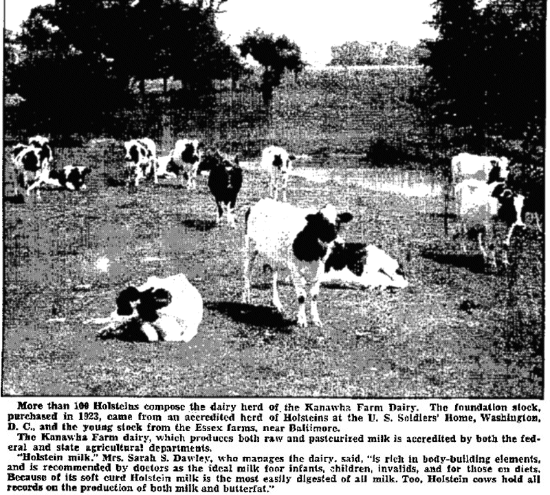 Kanawha Farm Dairy