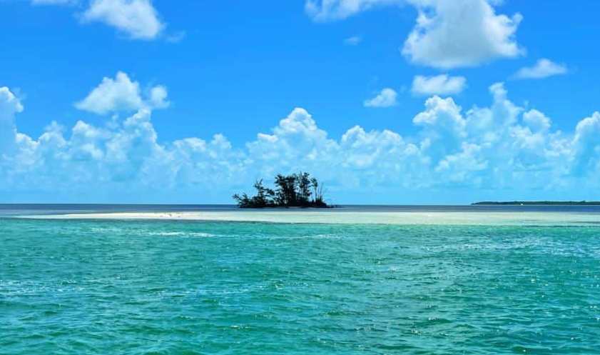 Bimini