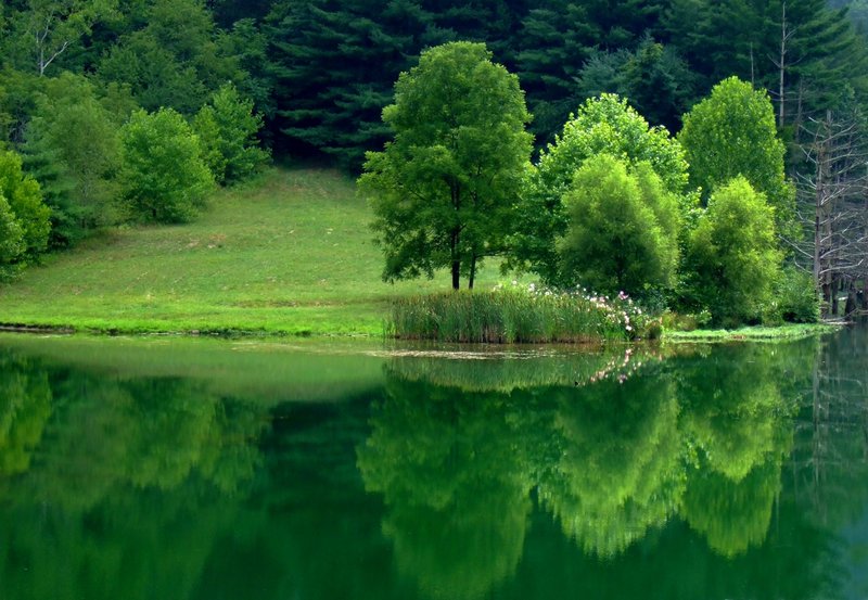 WV By The Lake
