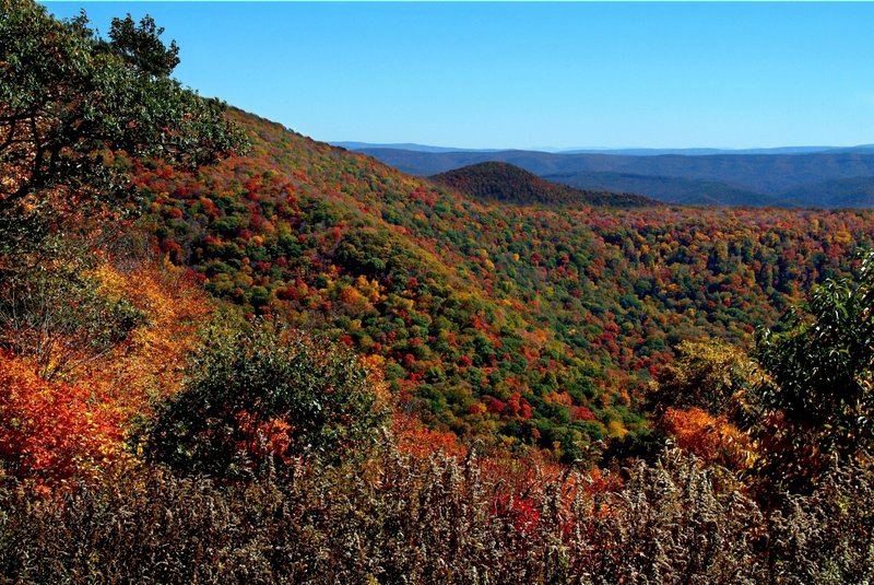 Scenic Highway In WV